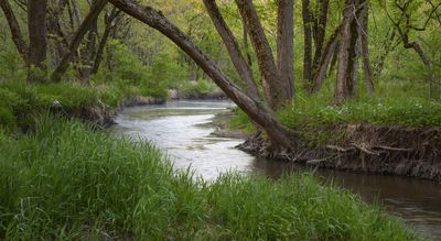 Kishwaukee River