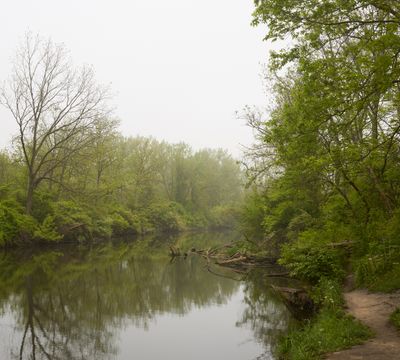 Fog at the Fishing Hole