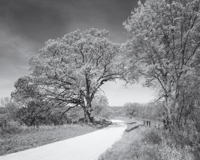 Monochrome