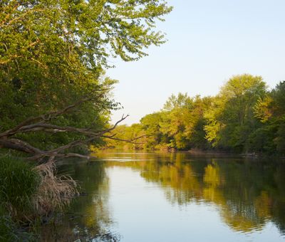 Morning Downstream 