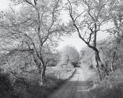 Monochrome