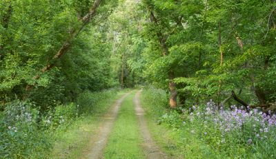 Carroll, Jo Daviess, and Stephenson Counties