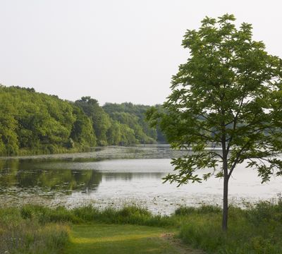 West Bay of Shabbona Lake 