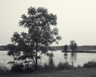 Monochrome
