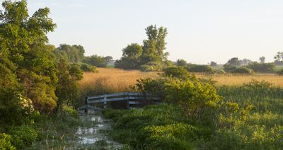 Pasture Corner in June 