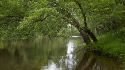 Kishwaukee River