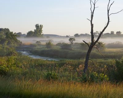 Battle Creek with Fog 