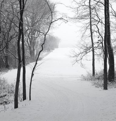 Monochrome