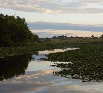 Wetland with Dawn Clouds 