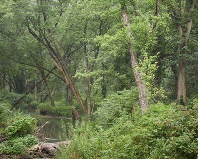 DeKalb County, Illinois