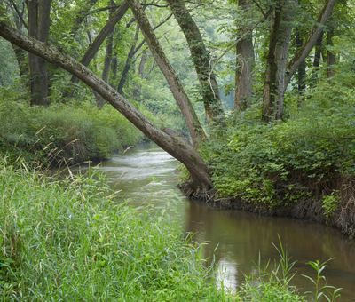 Kishwaukee River 
