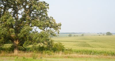 Midwest Rural Scenes