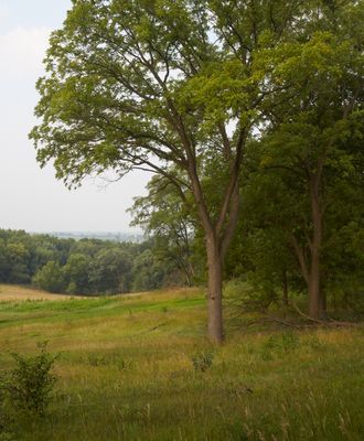 Ogle County, Illinois