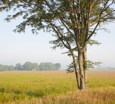 Lee County, Illinois