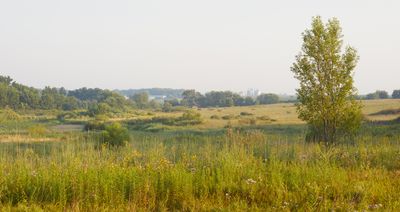 Little Rock Creek Valley 