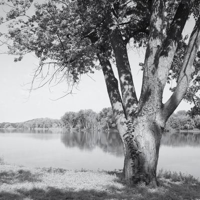 Monochrome