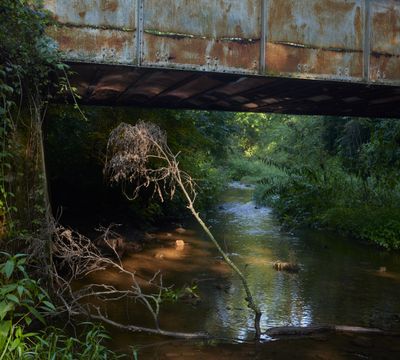 Beneath Hall Creek Bridge