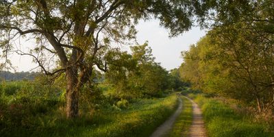 Southward along Woodlawn Road 