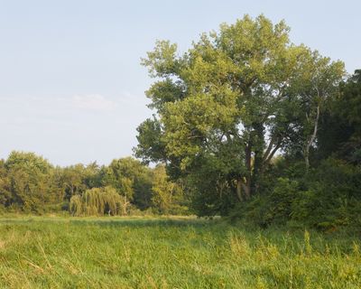Lee County, Illinois