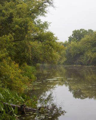 Kishwaukee River