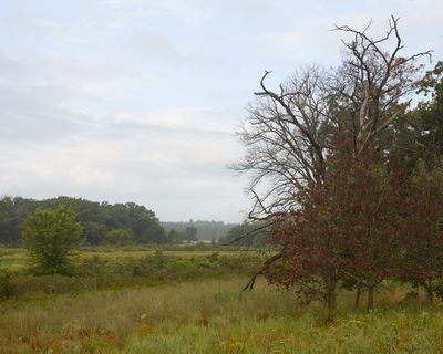 Lee County, Illinois