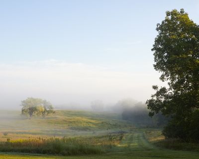 Daybreak Fog 