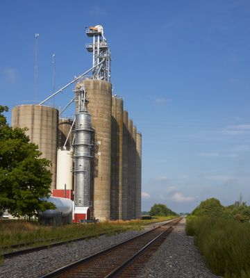 Down the Tracks at Chana 