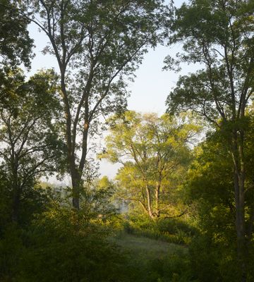 Ogle County, Illinois