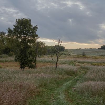 Nachusa Grasslands