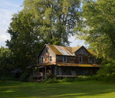 At the Edge of the Woods 