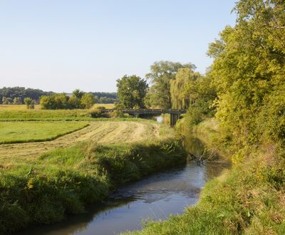 Cut Hay along the Creek 