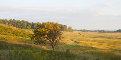 September Hawthorne 