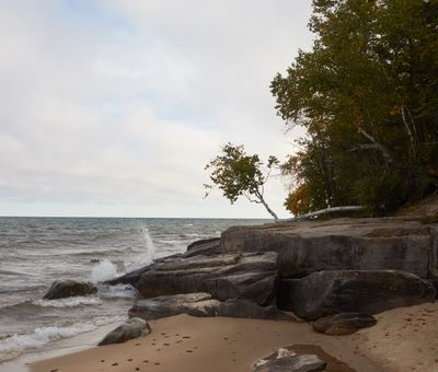 Birch on the Rocks 