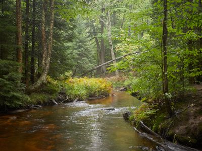 Section Thirty Four Creek 