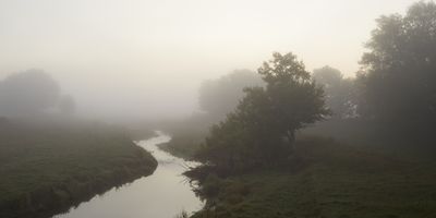 Pasture with Sunrise Fog 