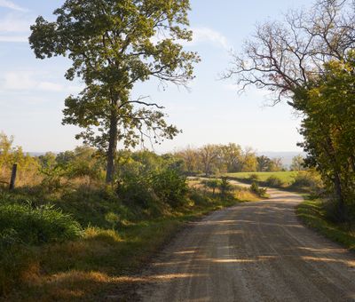 Schnitzler Road 
