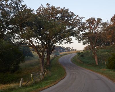 Between Pastures 
