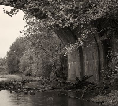 Monochrome
