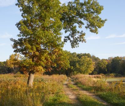 Lee County, Illinois