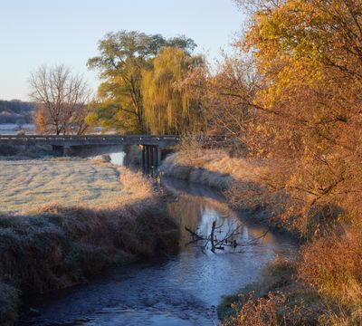 Little Richard Creek in Autumn