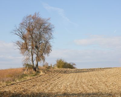 Lee County, Illinois