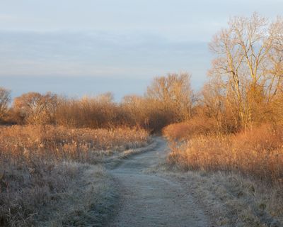 DeKalb County, Illinois
