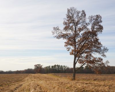 Ogle County, Illinois