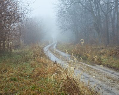 Lee County, Illinois