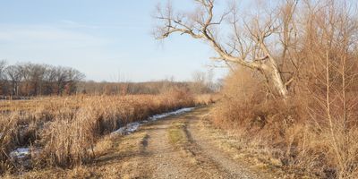 Lee County, Illinois