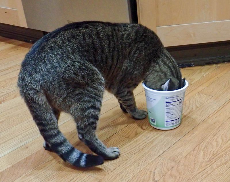 PA311248 MLR2022.jpg