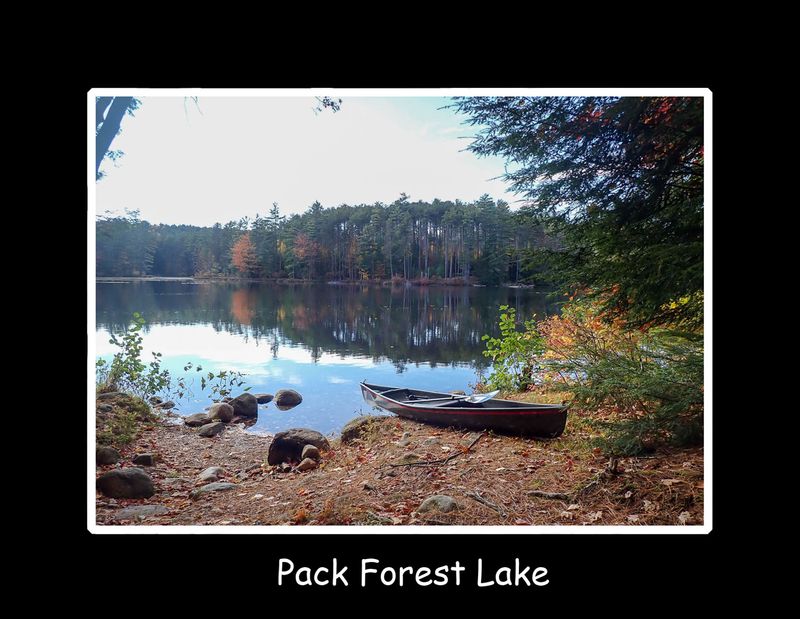 Pack Forest Lake.jpg