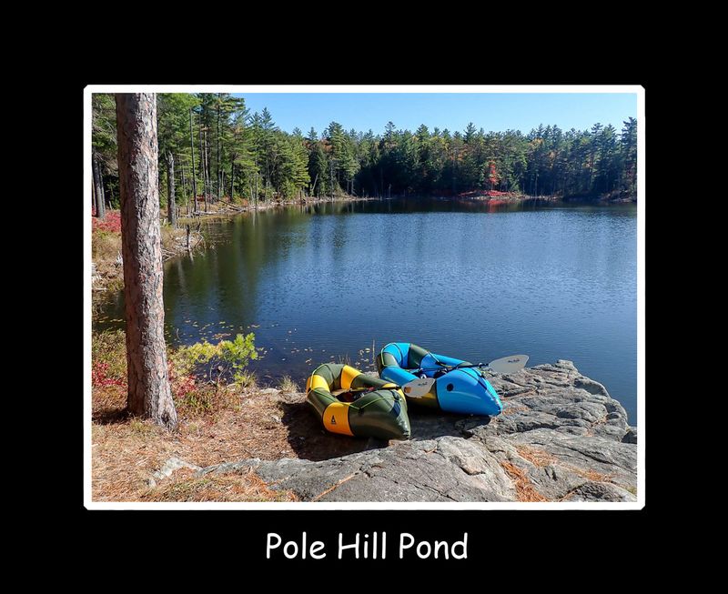 Pole Hill Pond title.jpg