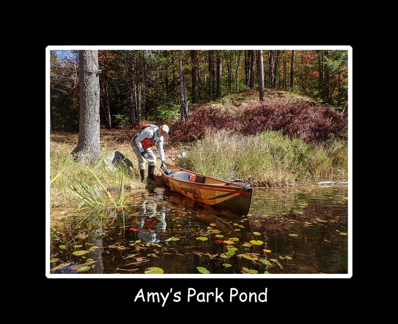 Amys Park Pond title.jpg