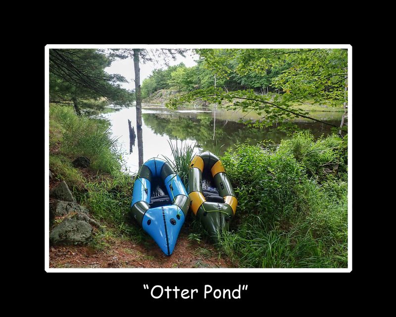 Otter Pond title.jpg